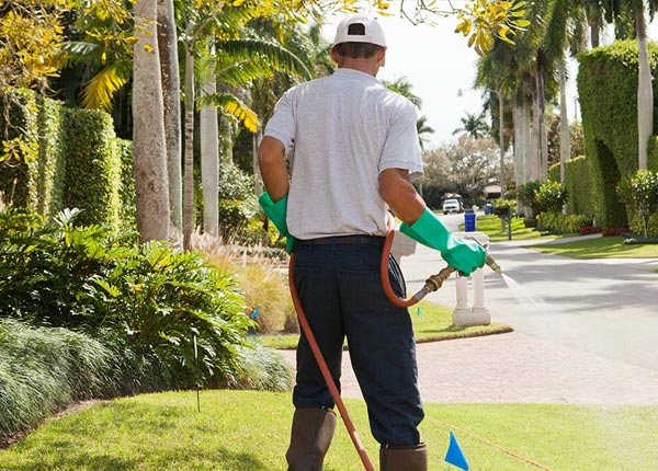 About Campobello SC Pest Control Pros